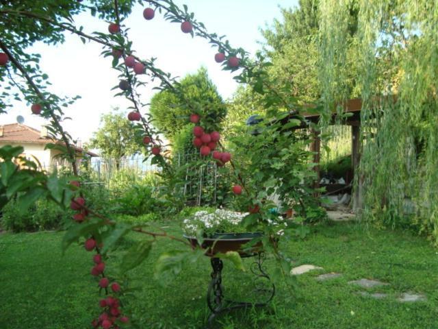 B&B Cherry En Rose เลซเซโน ภายนอก รูปภาพ